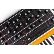 Moog ONE (16 VOICE)