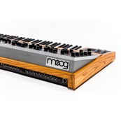 Moog ONE (16 VOICE)