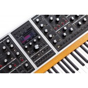 Moog ONE (16 VOICE)