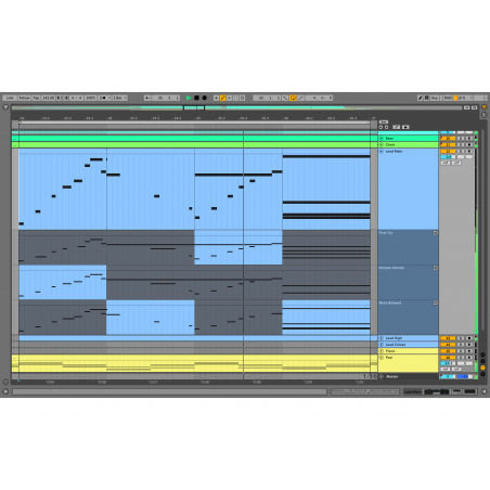 Ableton Live 11 Standard (download version)