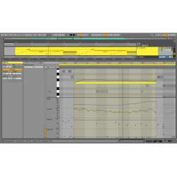 Ableton Live 11 Standard (download version)