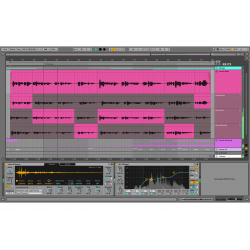 Ableton Live 11 Suite (download version)