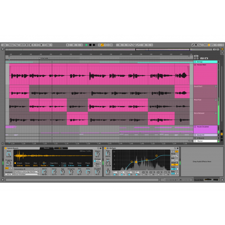 Ableton Live 11 Suite (download version)