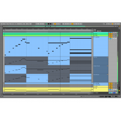 Ableton Live 11 Suite (download version)