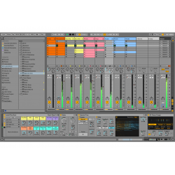 Ableton Live 11 Suite (download version)