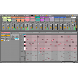 Ableton Live 11 Suite (download version)