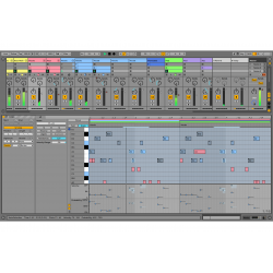 Ableton Live 11 Suite (download version)