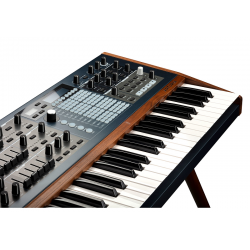Polybrute