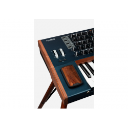 Polybrute