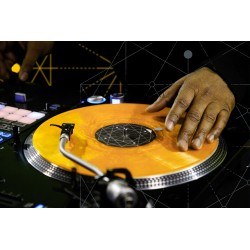 12" Sacred Geometry II - Conception