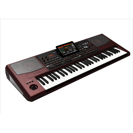 Korg Pa1000