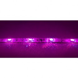 JB Systems LSI-30RGB-5050-IP65-5M 2