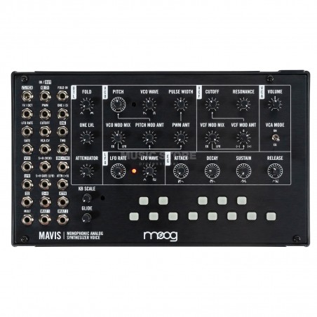 Moog Mavis