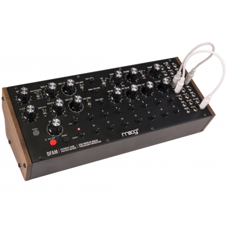 Moog DFAM