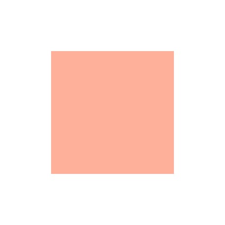 LEE Filter Sheet 107