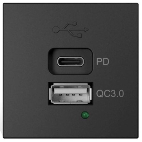 Module chargeur USB-A et USB-C