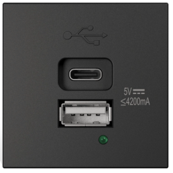 Plaque de connexion USB-A/C 45x45