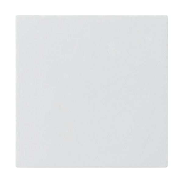 Plaque vierge 60 x 60
