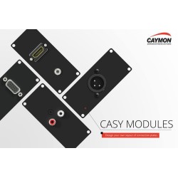 CASY chassis 12 places - 2U 19'' (273mm profondeur)