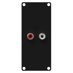 1 module 2x Cinch