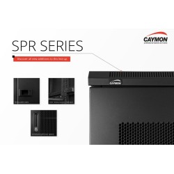 SPR1042 Rack 19'' 42U - F1000
