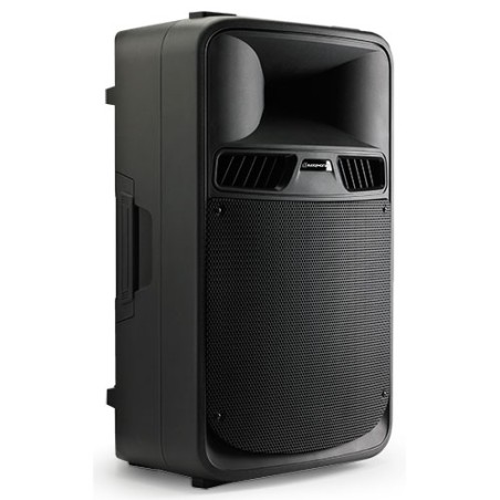 SR15P - Enceinte passive 15...
