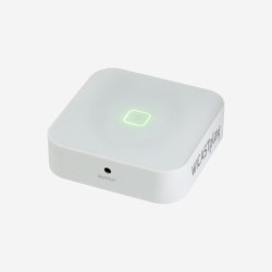 Audiophony WiCASTplay -...