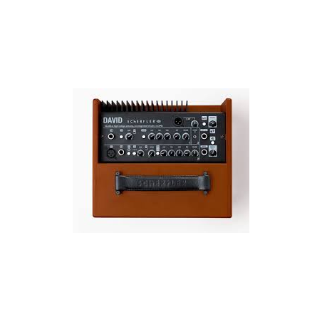 Schertler DAVID-W 3 Canaux,...
