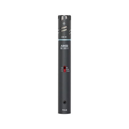 AKG C391 B