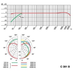 AKG C391 B