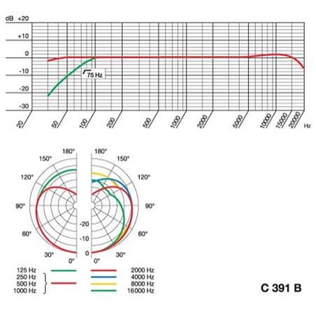 AKG C391 B