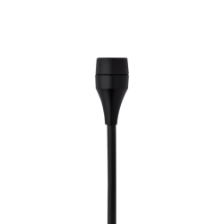 AKG C417 PP
