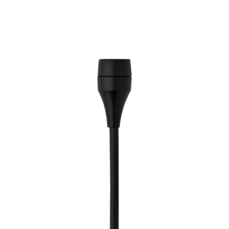 AKG C417 PP