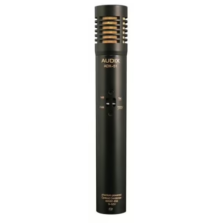 AUDIX ADX51 micro instrument