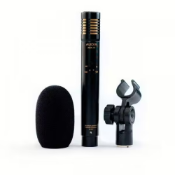 AUDIX ADX51 micro instrument