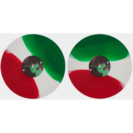 Serato Control Vinyl...