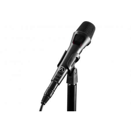 Austrian Audio OD303