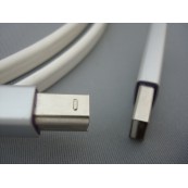 Class B USB - Type C 2m : Câble Numérique NEO by Oyaide