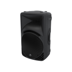 Mackie SRM450v3